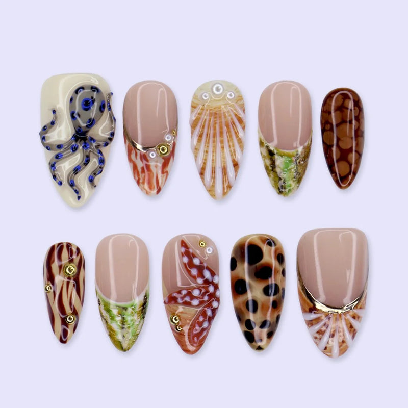 Shell Seeker — thumbnail 1
