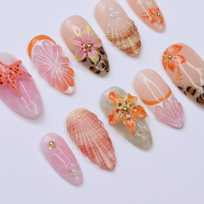 Shelluxe — thumbnail 6