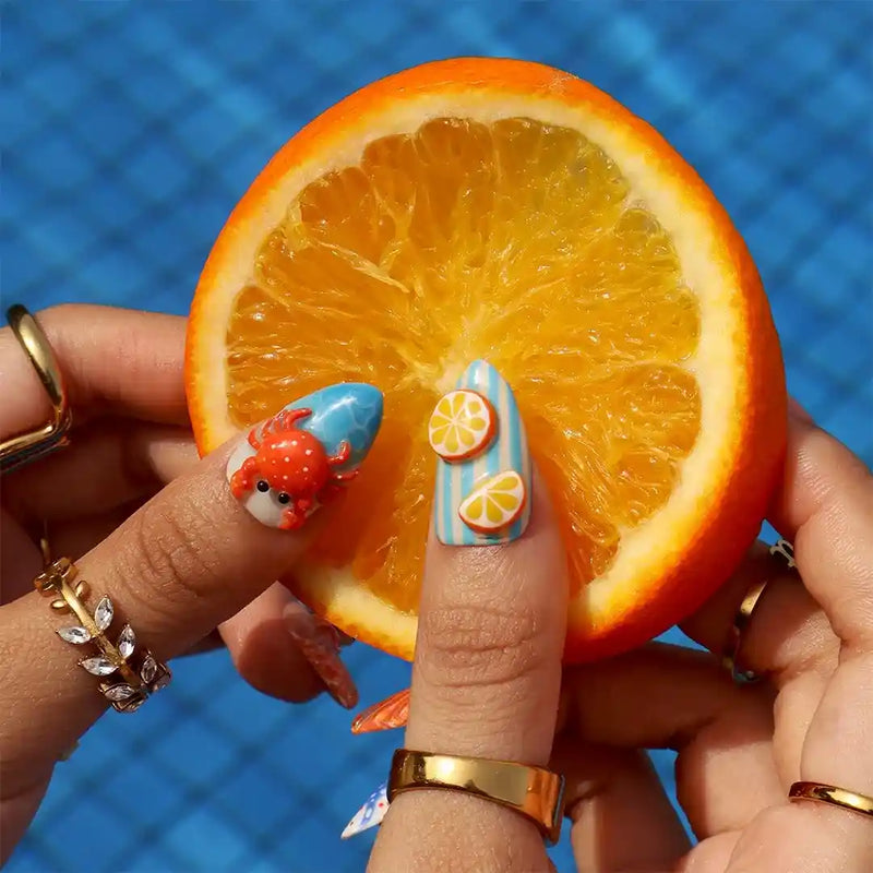 Crab & Seashell — thumbnail 4