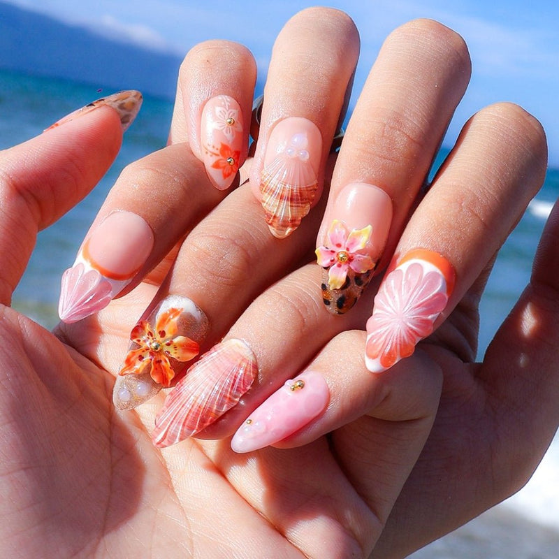 Shelluxe — thumbnail 4