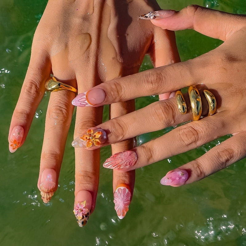 Shelluxe — thumbnail 5