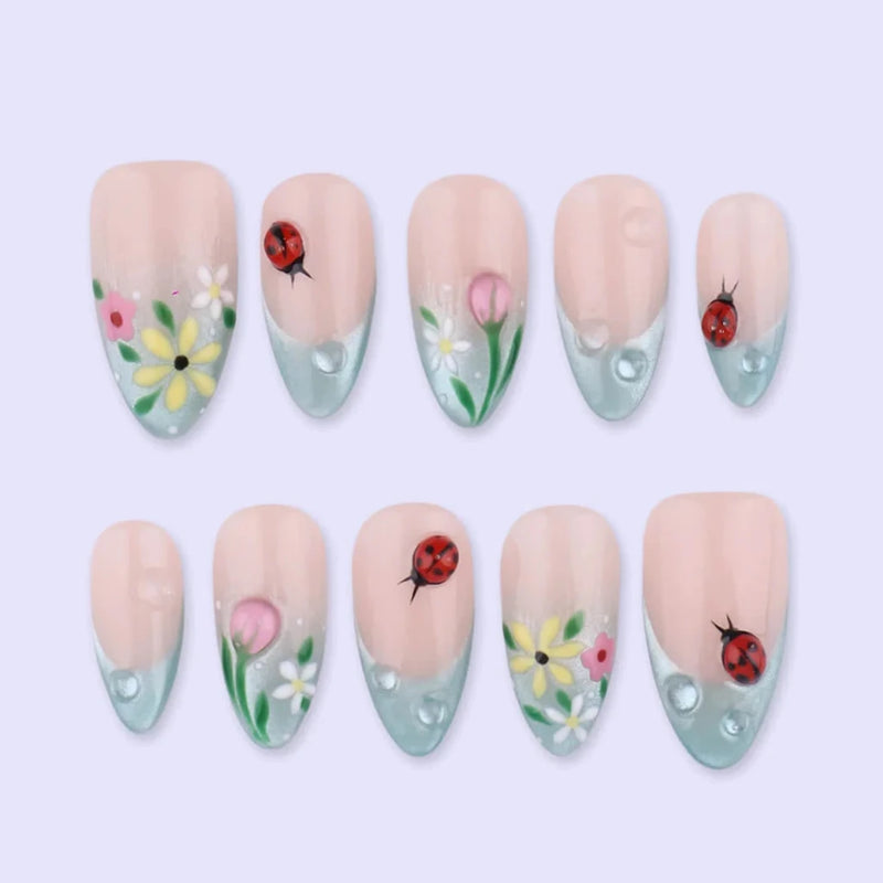 Morning Dew — thumbnail 2