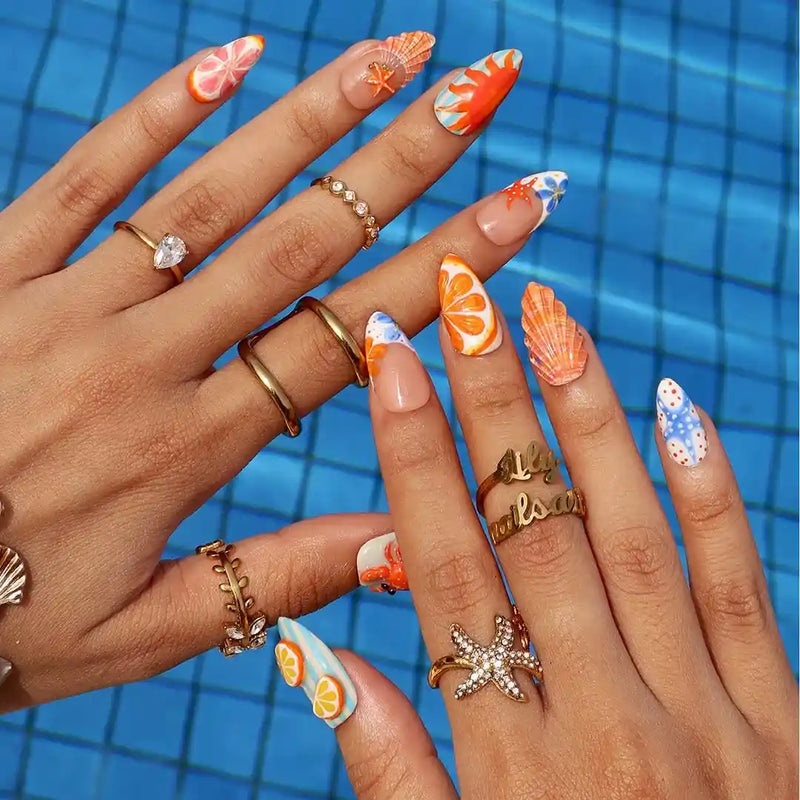 Crab & Seashell — hover
